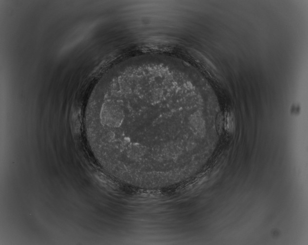 X0000101230915200807181559