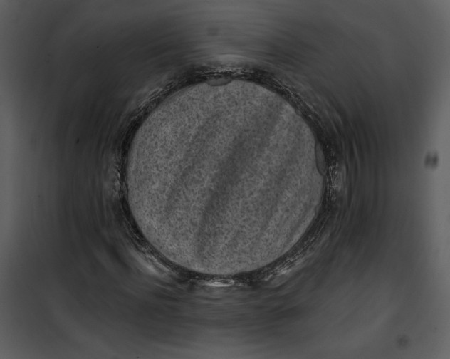 X0000101230916200807181559