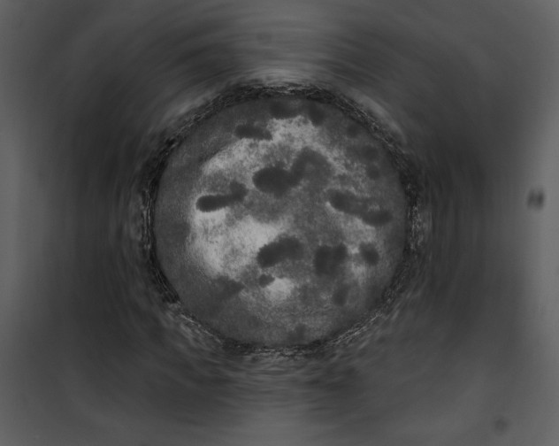 X0000101230917200807181559