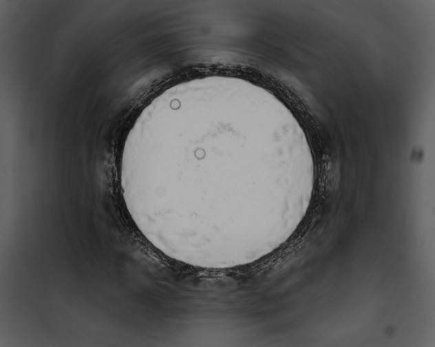 X0000101230918200807181559