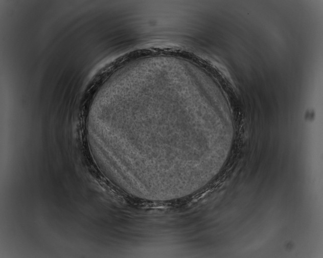 X0000101230920200807181559