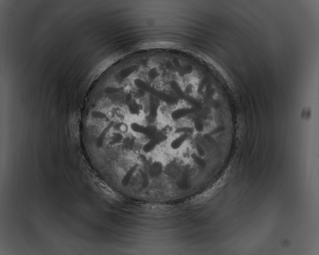 X0000101230921200807181559