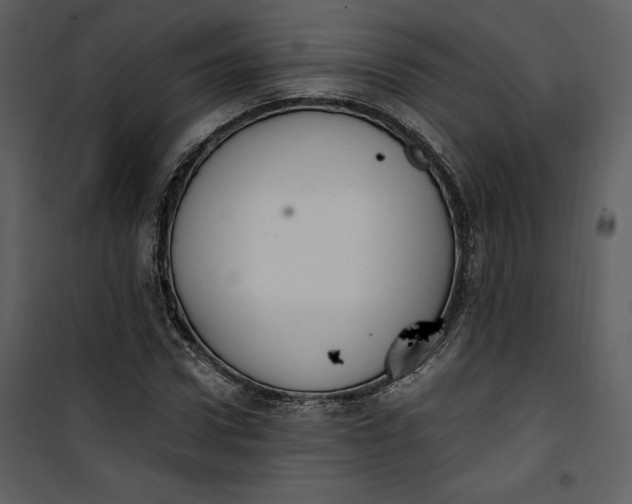 X0000101230922200807181559