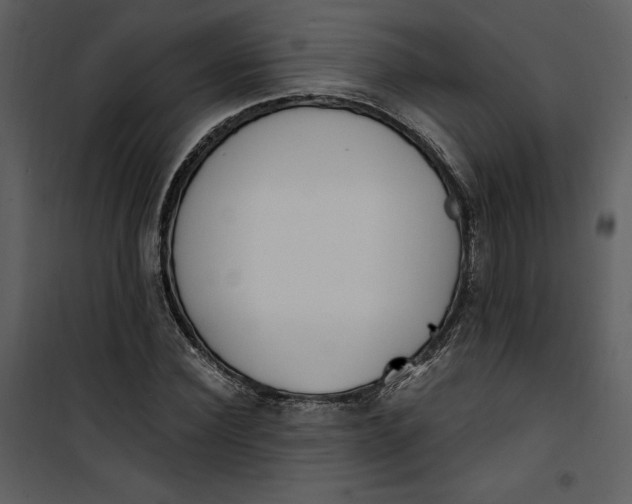 X0000101230924200807181559