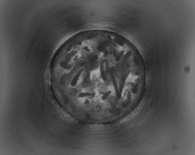 X0000101230925200807181559