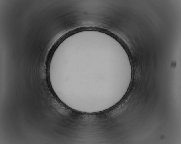 X0000101230927200807181559