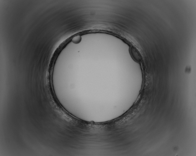 X0000101230928200807181559