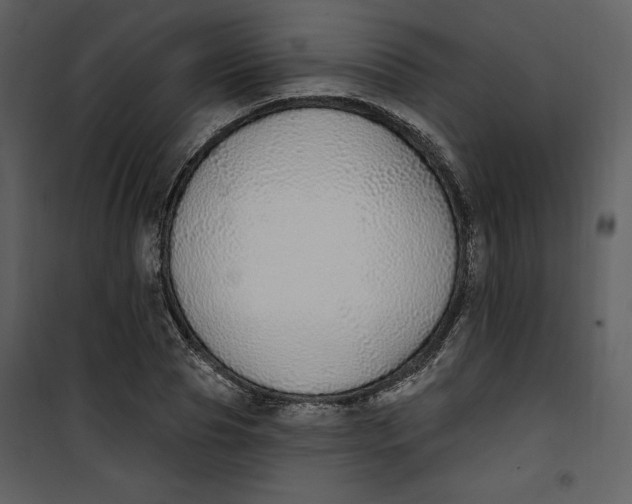 X0000101230929200807181559