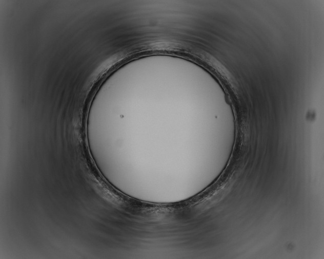 X0000101230930200807181559