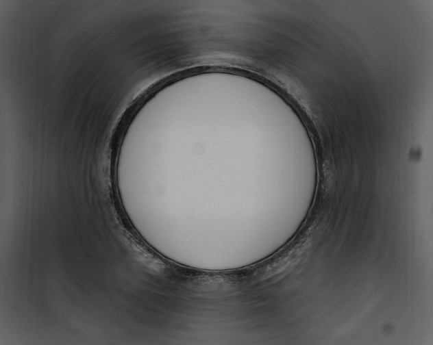 X0000101230931200807181559