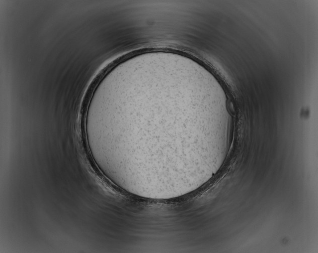 X0000101230932200807181559