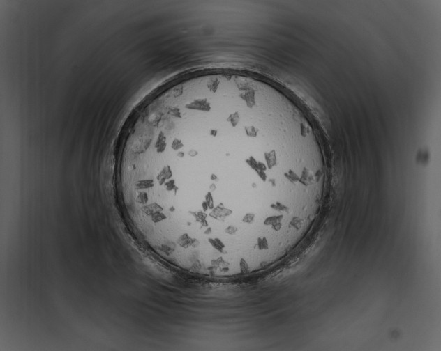 X0000101230933200807181600