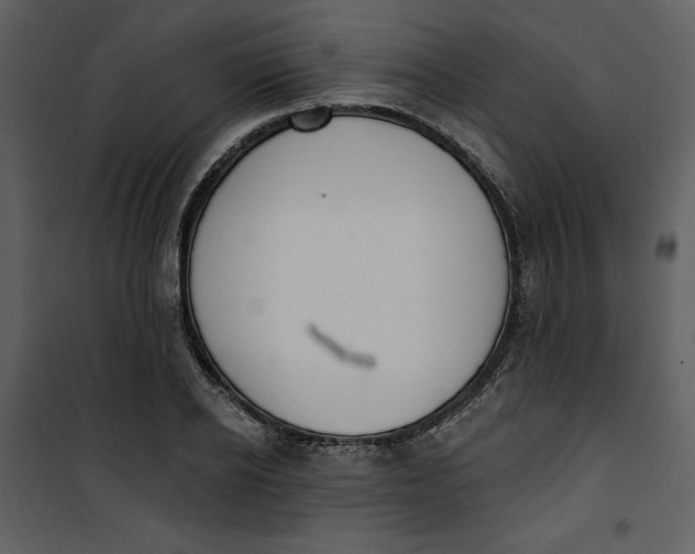 X0000101230934200807181600