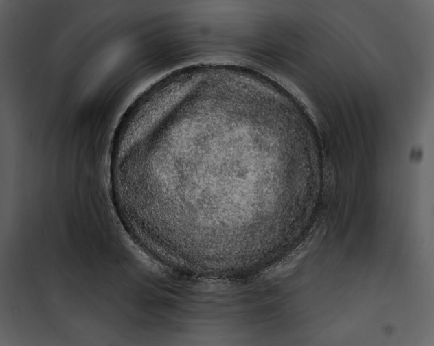 X0000101230935200807181600