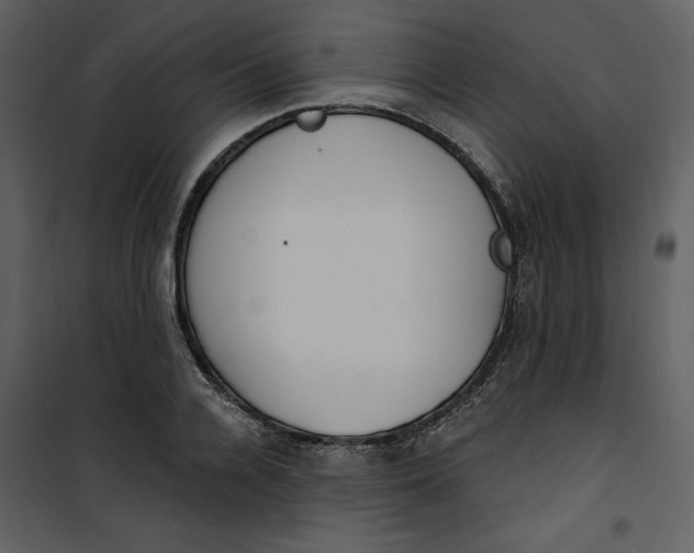 X0000101230936200807181600