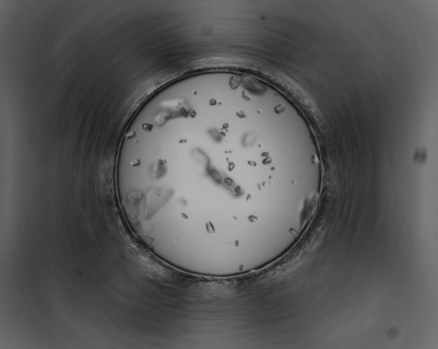 X0000101230937200807181600