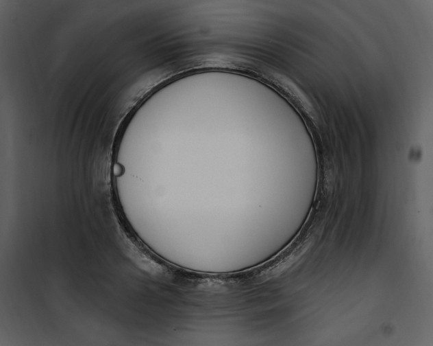 X0000101230938200807181600