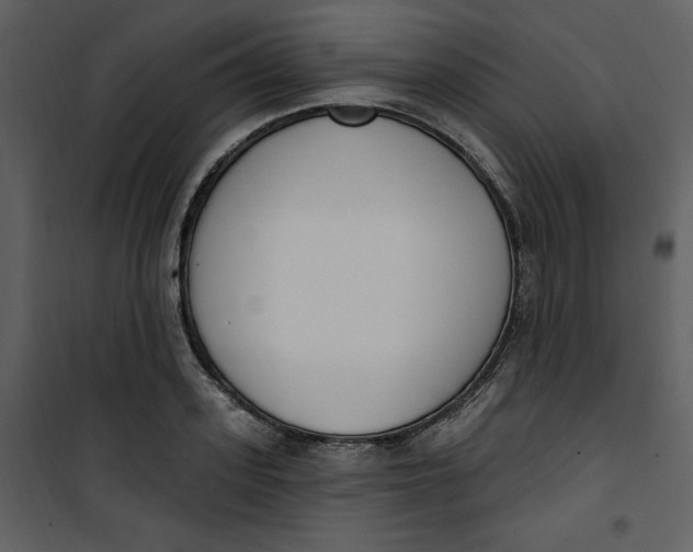 X0000101230939200807181600