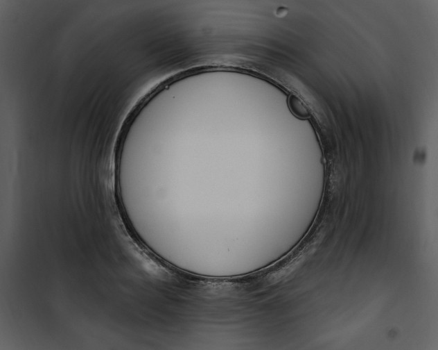 X0000101230940200807181600