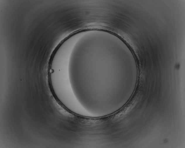 X0000101230941200807181600