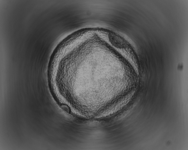 X0000101230943200807181600