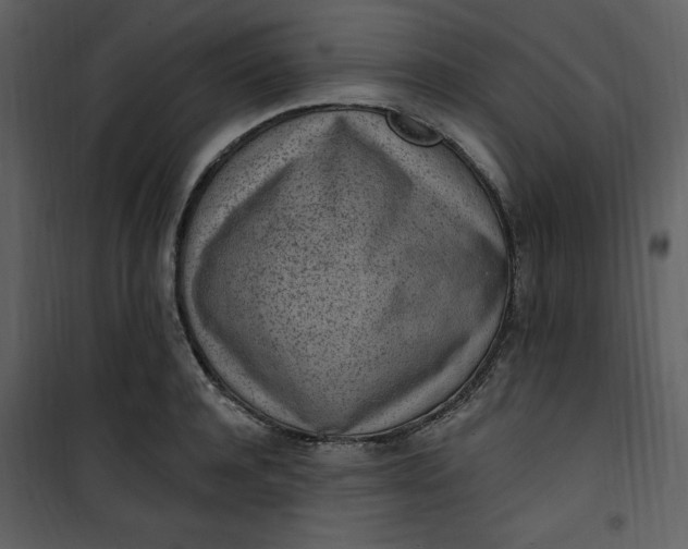 X0000101230944200807181600