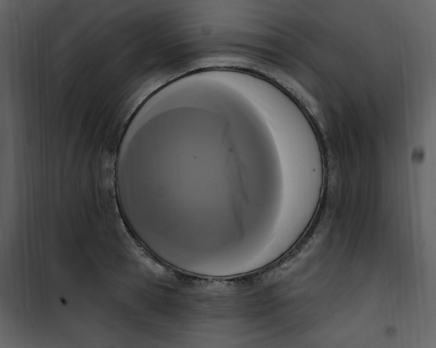 X0000101230945200807181600