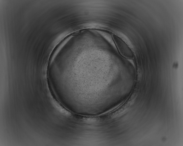 X0000101230946200807181600