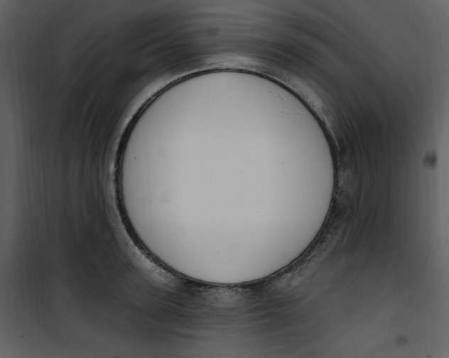 X0000101230947200807181600