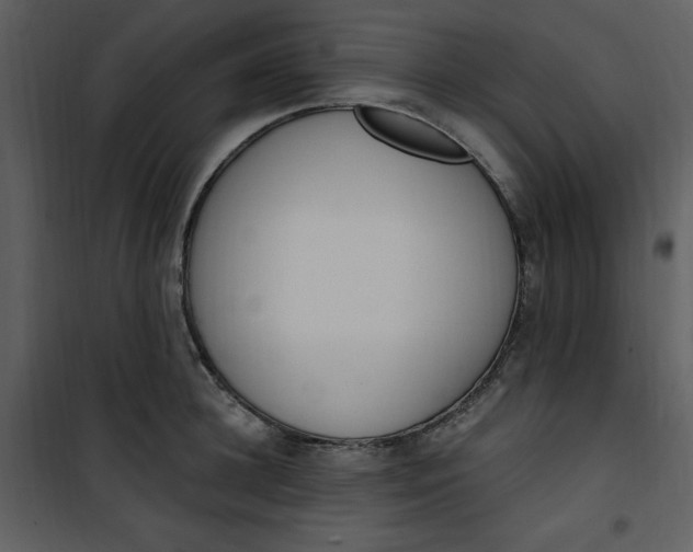 X0000101230948200807181600