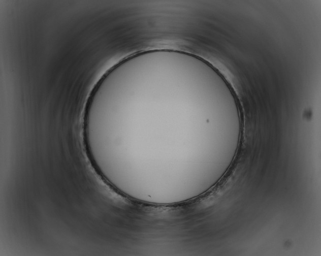 X0000101230949200807181600