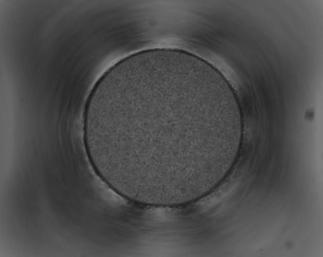 X0000101230950200807181600