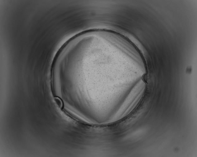 X0000101230951200807181600