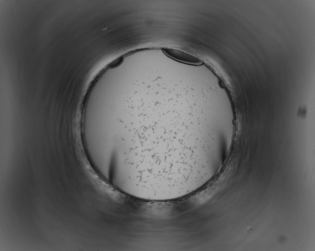 X0000101230952200807181600