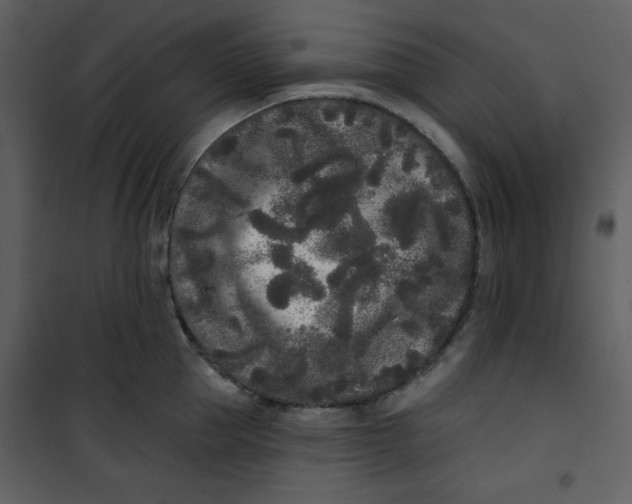 X0000101230953200807181600