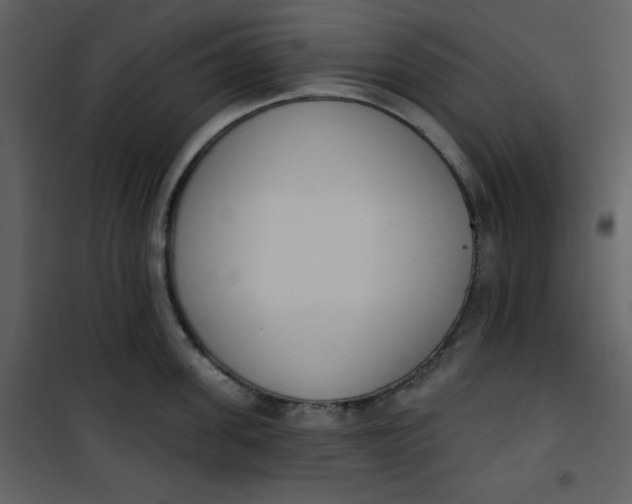 X0000101230955200807181600