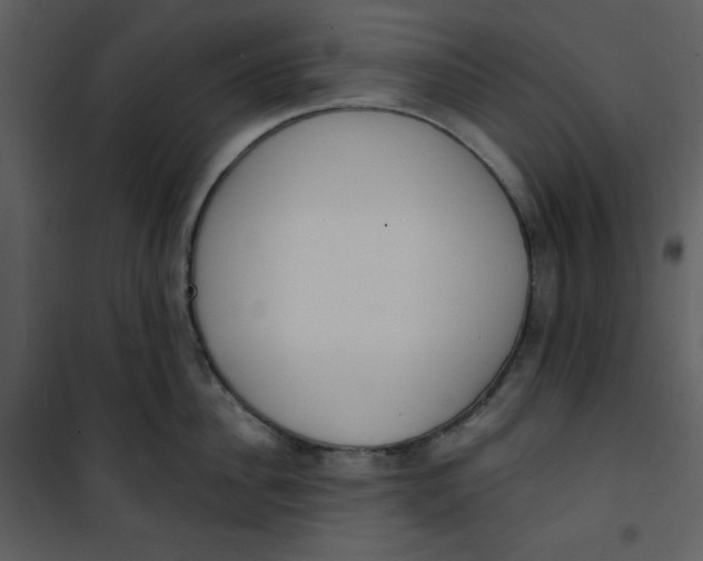 X0000101230956200807181600