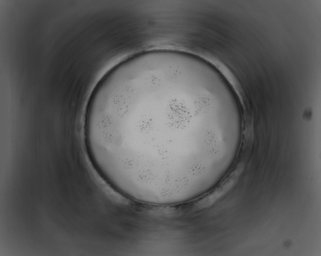 X0000101230957200807181600