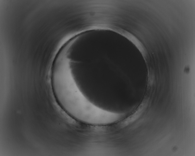 X0000101230958200807181600