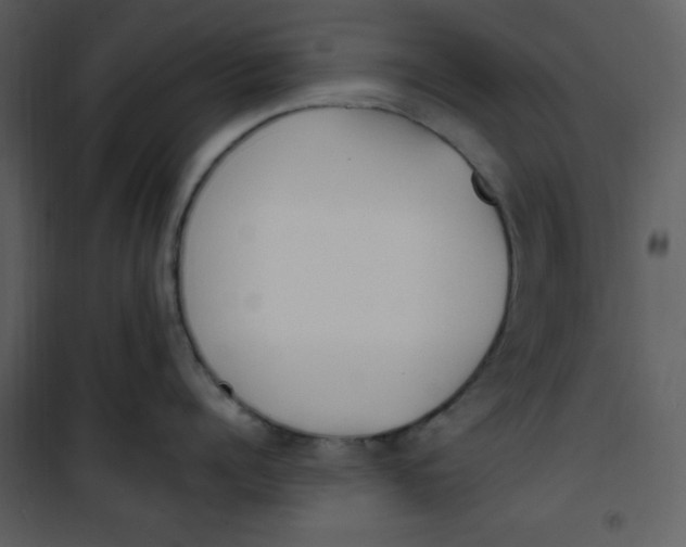 X0000101230960200807181600