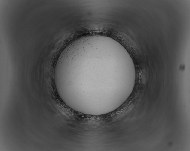 X0000101230961200807181559