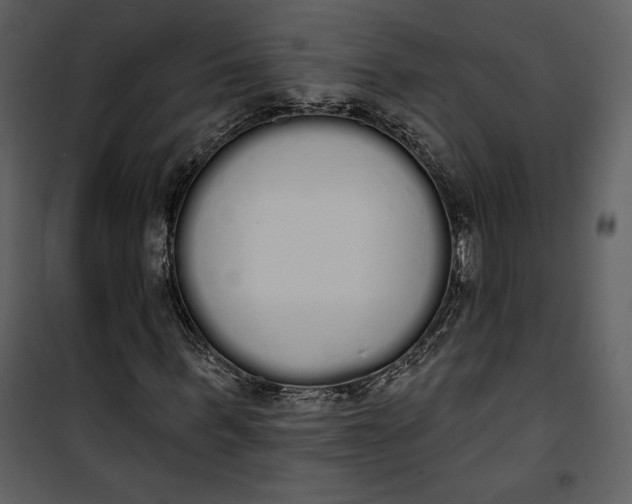 X0000101230963200807181559