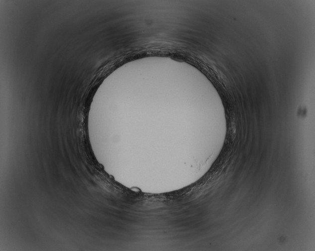 X0000101230964200807181559