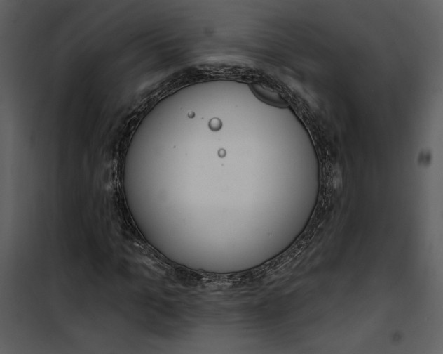 X0000101230965200807181559