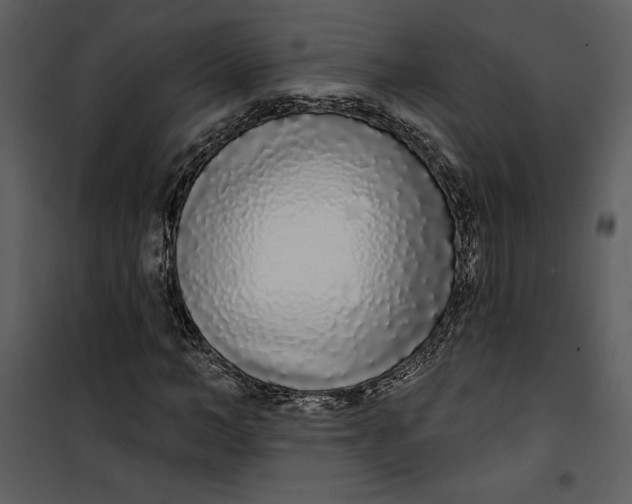 X0000101230966200807181559