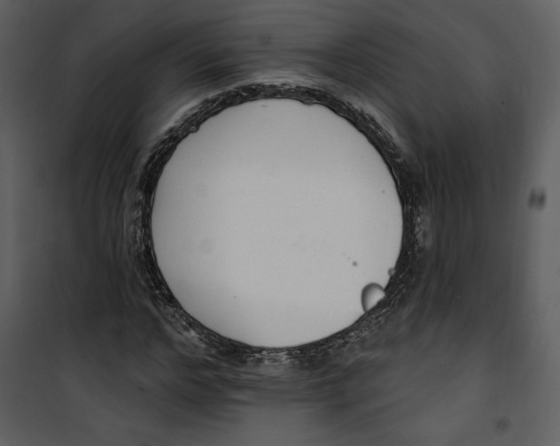 X0000101230968200807181559