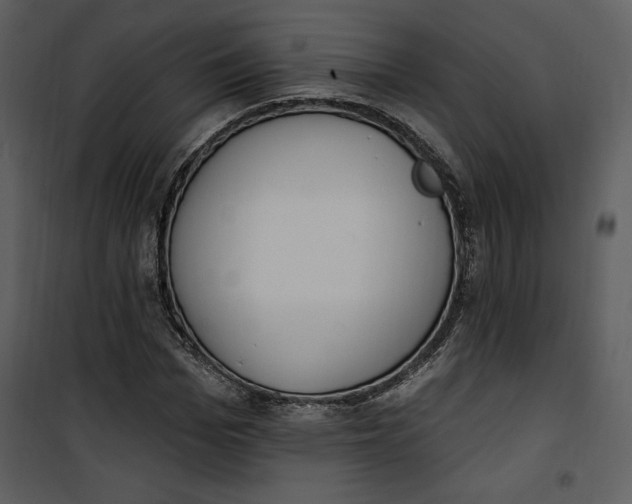 X0000101230969200807181559