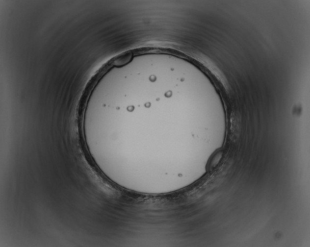 X0000101230972200807181559