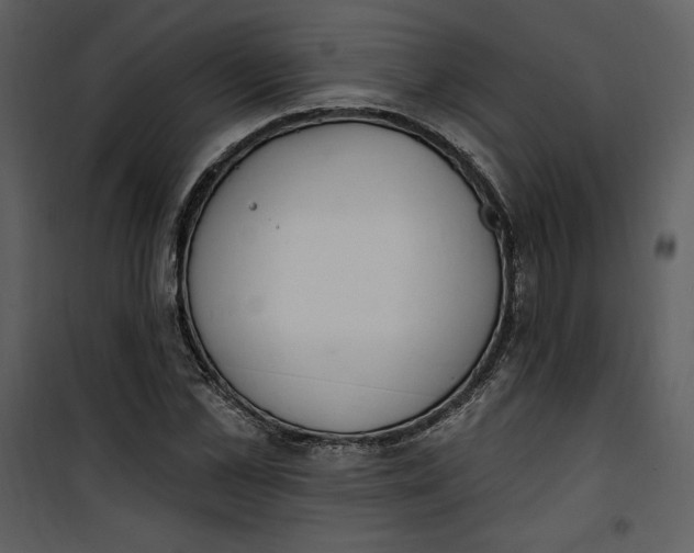 X0000101230973200807181559