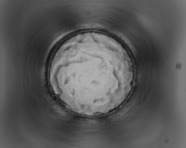 X0000101230975200807181559